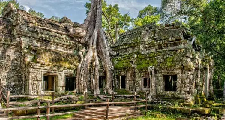 Unveiling the Enchanting Allure of Ta Prohm Temple: Discovering the Timeless Splendor of Cambodia’s Historic Remnants