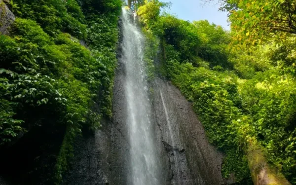 Nangka Waterfall, Exotic Waterfall with Amazing Natural Beauty in Bogor