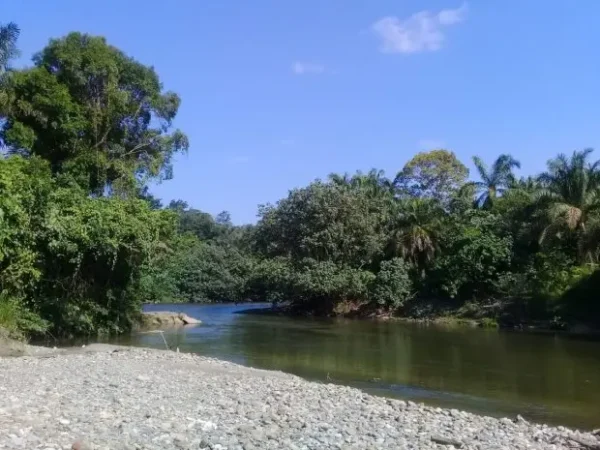 Tangkahan Langkat, A Hidden Natural Gem in North Sumatra Offering Adventure