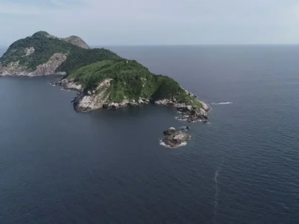 10 Interesting Facts about Snake Island in Brazil that is Full of Mystery